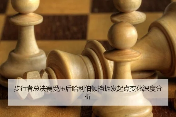 bu-xing-zhe-zong-jue-sai-shou-ya-hou-ha-li-bo-dun-dang-chai-fa-qi-dian-bian-hua-shen-du-fen-xi-2-753.jpg